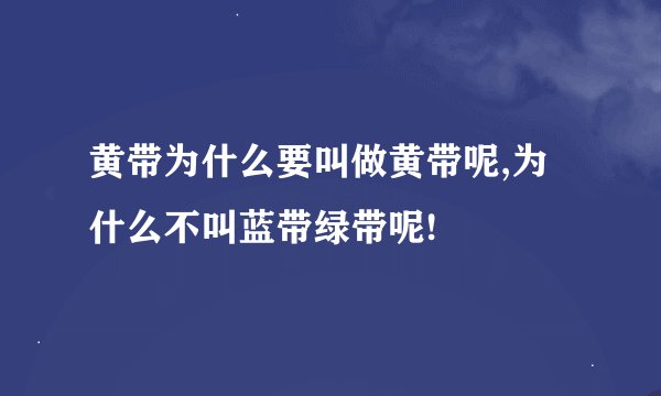 黄带为什么要叫做黄带呢,为什么不叫蓝带绿带呢!