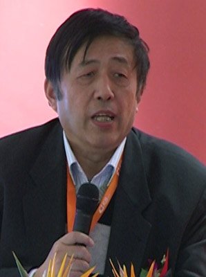 任若恩的工作经历