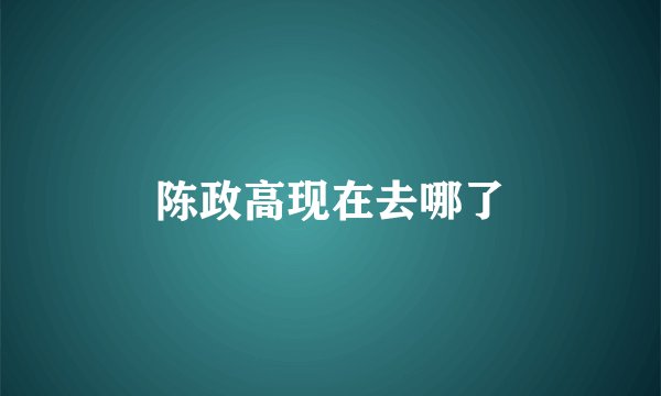 陈政高现在去哪了