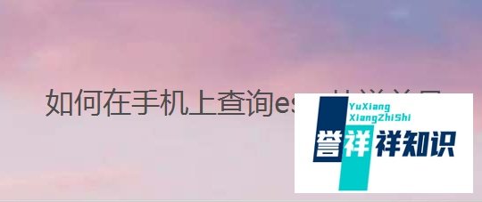 如何在手机上查询esm快递单号