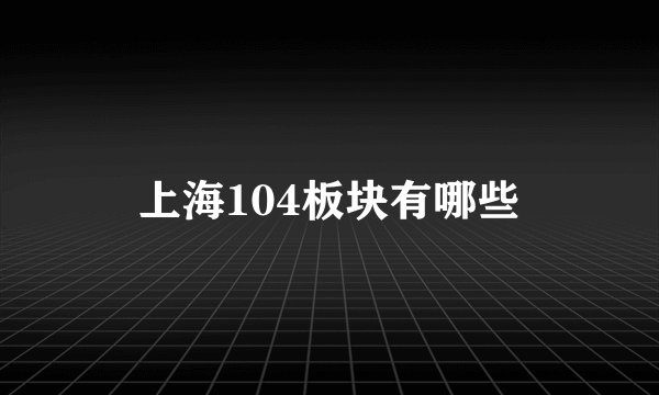 上海104板块有哪些