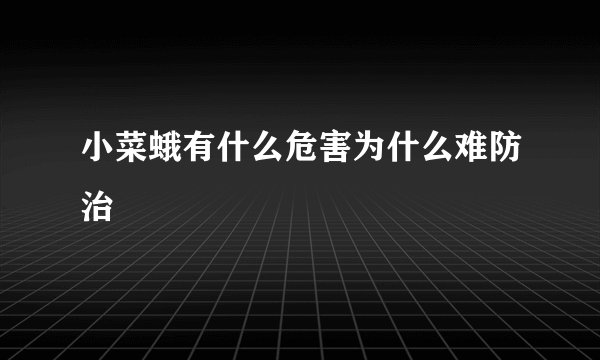 小菜蛾有什么危害为什么难防治