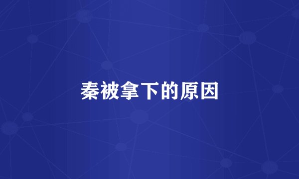 秦被拿下的原因