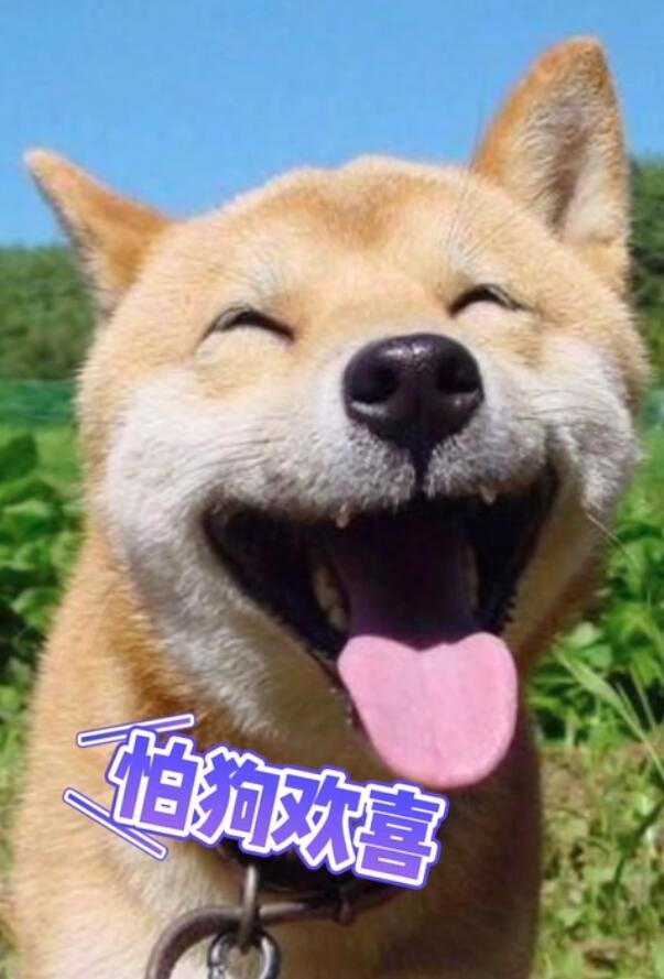 《我怕来者不是你》是什么歌曲?