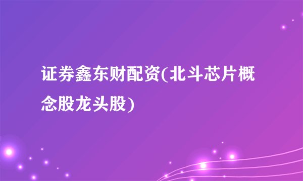 证券鑫东财配资(北斗芯片概念股龙头股)