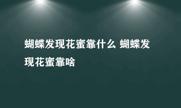 蝴蝶发现花蜜靠什么 蝴蝶发现花蜜靠啥
