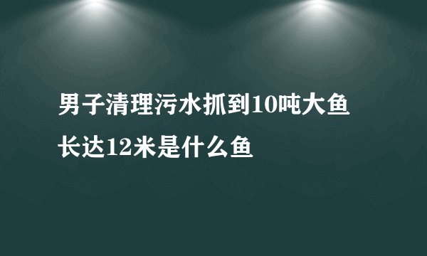 男子清理污水抓到10吨大鱼 长达12米是什么鱼
