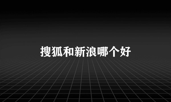 搜狐和新浪哪个好