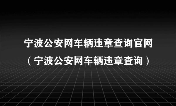 宁波公安网车辆违章查询官网（宁波公安网车辆违章查询）
