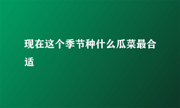 现在这个季节种什么瓜菜最合适
