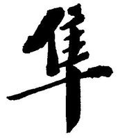 隼是什么结构?