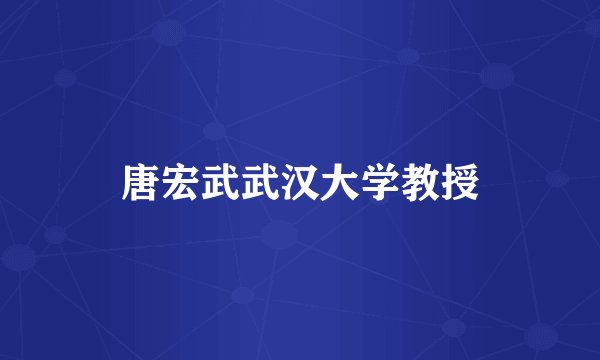 唐宏武武汉大学教授