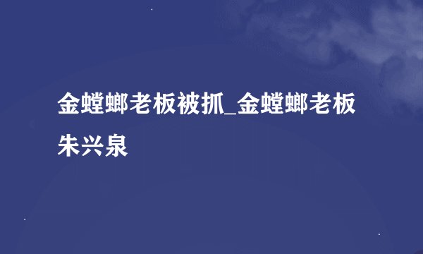 金螳螂老板被抓_金螳螂老板朱兴泉