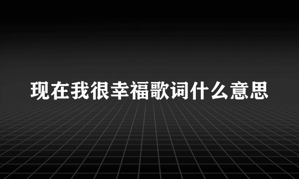 现在我很幸福歌词什么意思