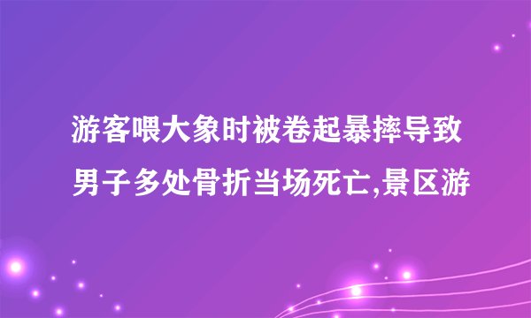 游客喂大象时被卷起暴摔导致男子多处骨折当场死亡,景区游