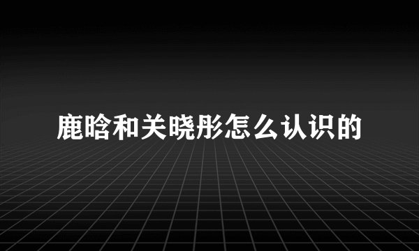 鹿晗和关晓彤怎么认识的