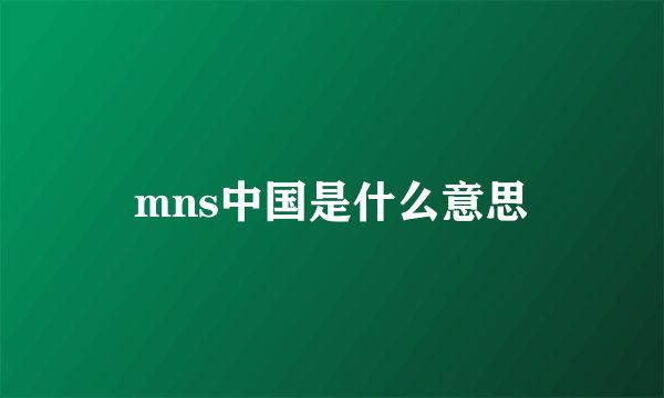 mns中国是什么意思