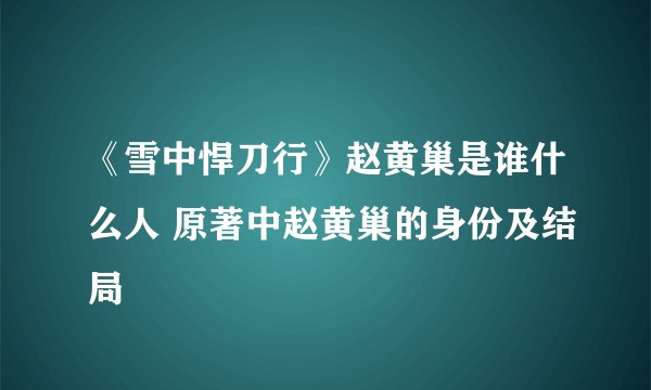《雪中悍刀行》赵黄巢是谁什么人 原著中赵黄巢的身份及结局
