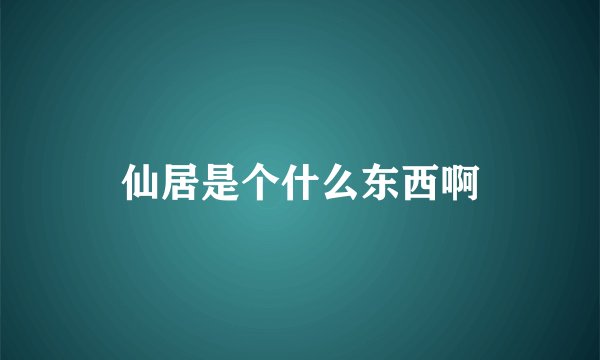仙居是个什么东西啊