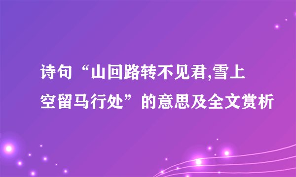 诗句“山回路转不见君,雪上空留马行处”的意思及全文赏析