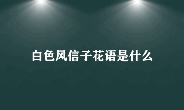 白色风信子花语是什么