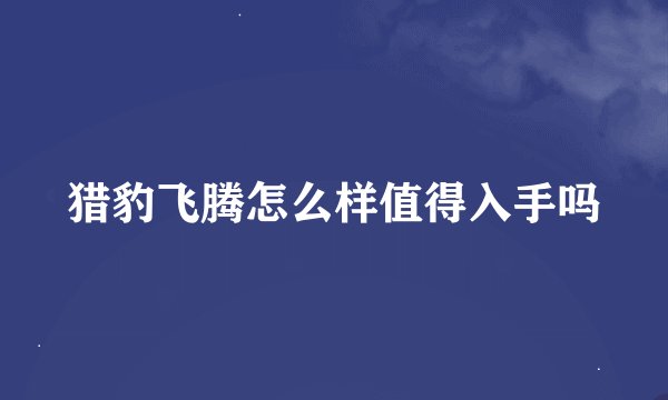 猎豹飞腾怎么样值得入手吗