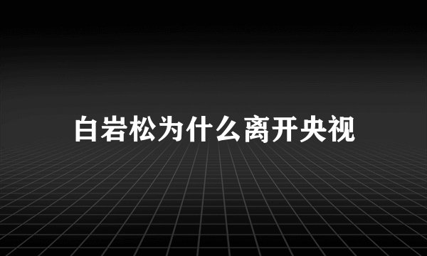 白岩松为什么离开央视