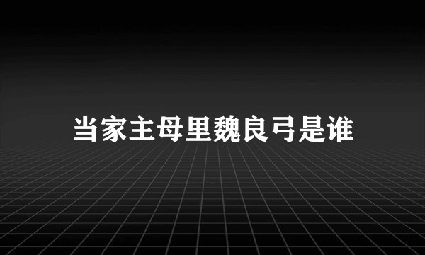 当家主母里魏良弓是谁