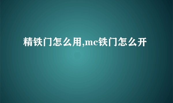 精铁门怎么用,mc铁门怎么开