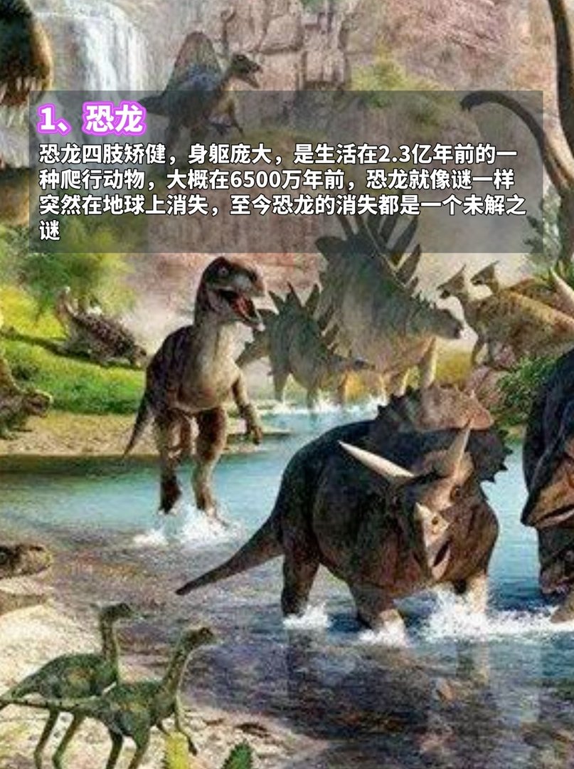 地球上最古老的7种动物,看完脊背发凉