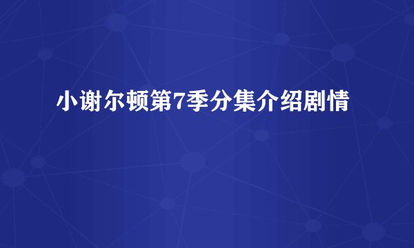 小谢尔顿第7季分集介绍剧情