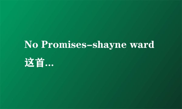 No Promises-shayne ward这首歌的中文意思