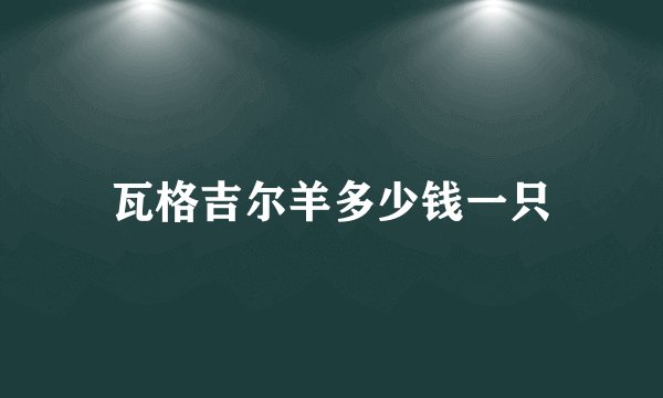 瓦格吉尔羊多少钱一只