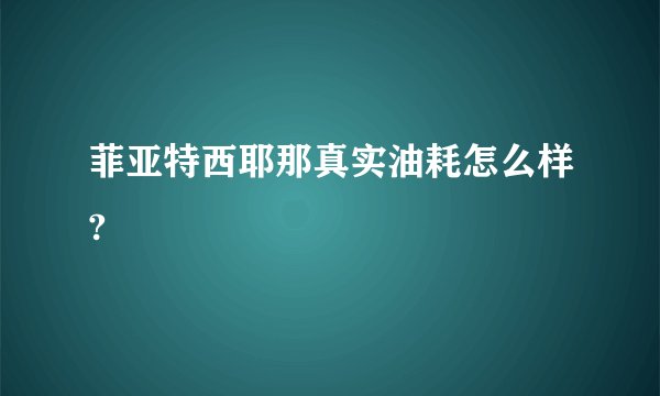 菲亚特西耶那真实油耗怎么样?