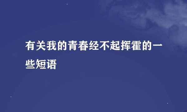 有关我的青春经不起挥霍的一些短语