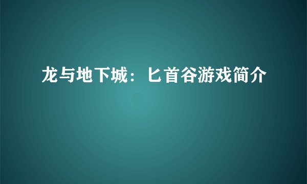 龙与地下城：匕首谷游戏简介