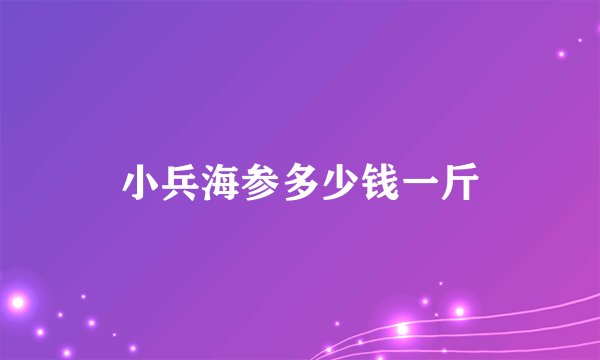 小兵海参多少钱一斤