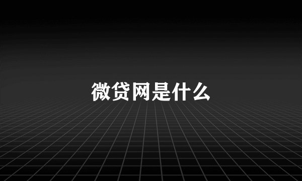 微贷网是什么