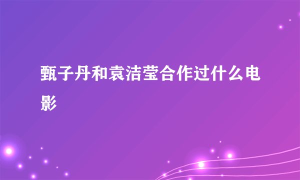 甄子丹和袁洁莹合作过什么电影