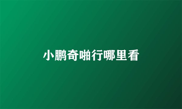 小鹏奇啪行哪里看