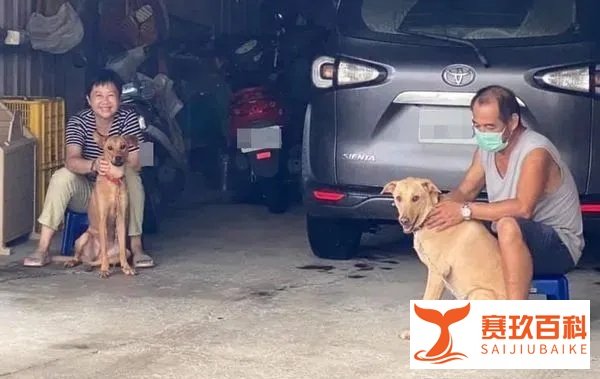 狗狗姐妹抢坐奶奶腿上，巨大瓦斯桶，挤3层肉卡中间：还有我