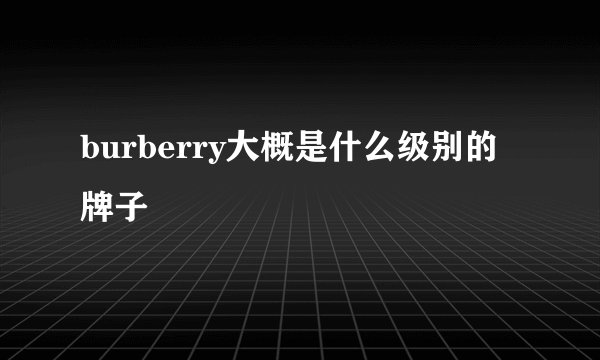 burberry大概是什么级别的牌子