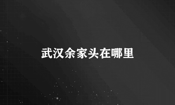 武汉余家头在哪里