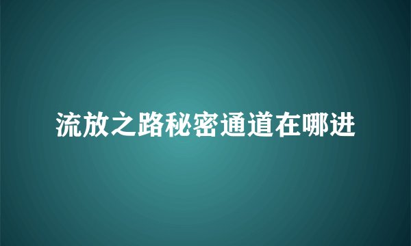 流放之路秘密通道在哪进