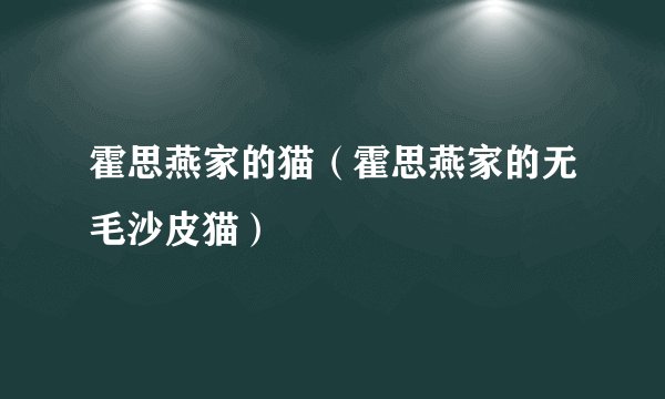 霍思燕家的猫（霍思燕家的无毛沙皮猫）