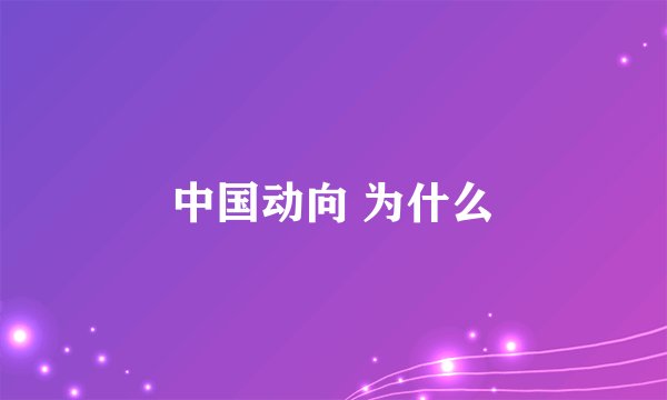 中国动向 为什么