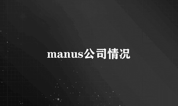 manus公司情况