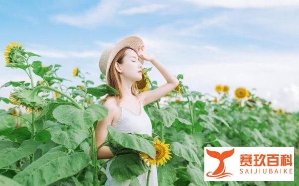 一个女人，愿意把身体给你，多半认定你了