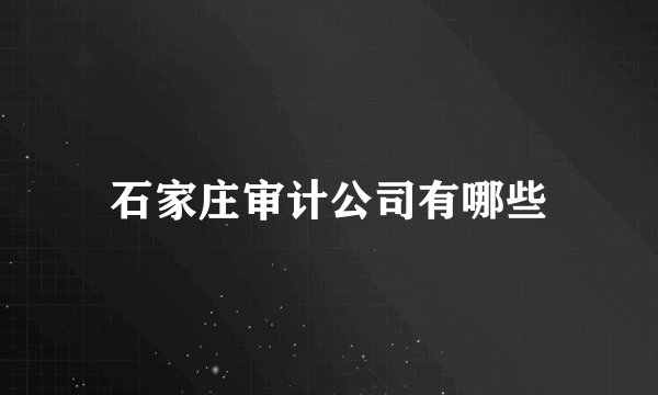 石家庄审计公司有哪些