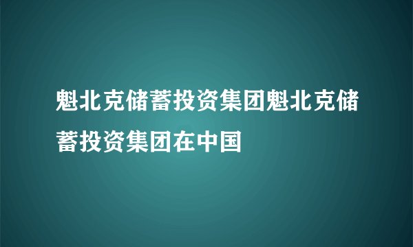 魁北克储蓄投资集团魁北克储蓄投资集团在中国